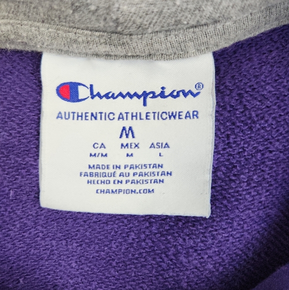 Champion Northwestern University Hoodie Mens Medium Multicolor Pullover Wildcat - Picture 4 of 7